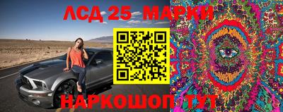 эйфоретик Краснодар