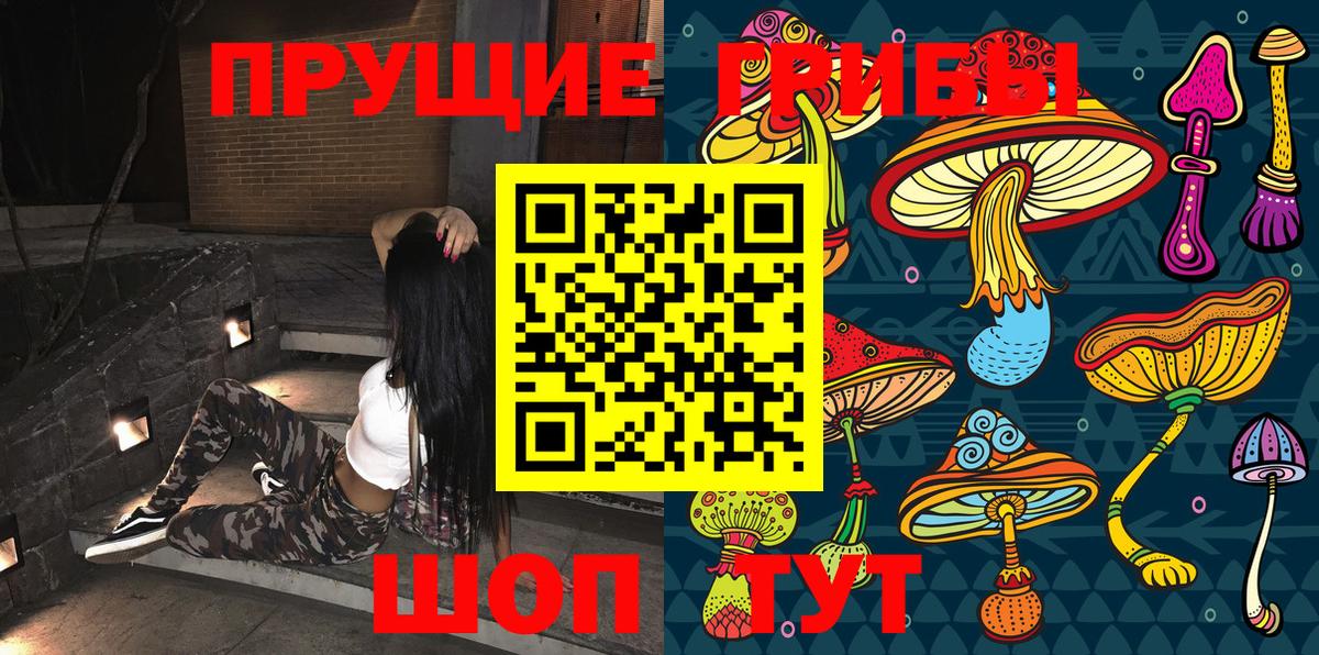 Псилоцибиновые грибы мицелий  Вход с VPN  Каменск-Шахтинский 