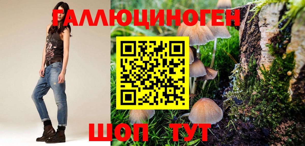 Галлюциногенные грибы MAGIC MUSHROOMS Каменск-Шахтинский
